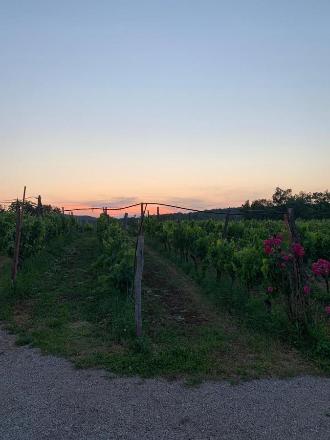 Cardo Boutique&Wine Resort Malchina Zewnętrze zdjęcie