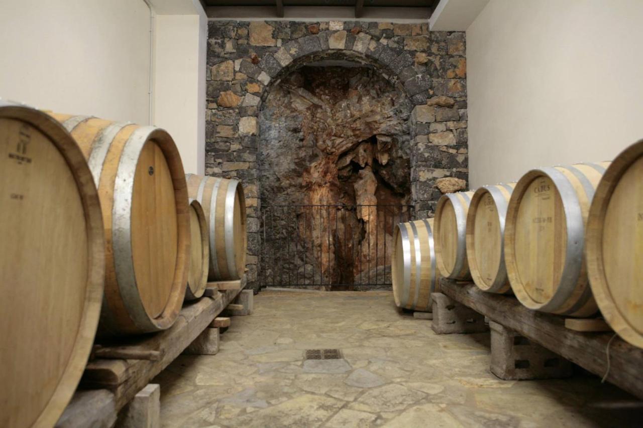 Cardo Boutique&Wine Resort Malchina Zewnętrze zdjęcie