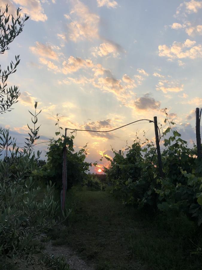 Cardo Boutique&Wine Resort Malchina Zewnętrze zdjęcie