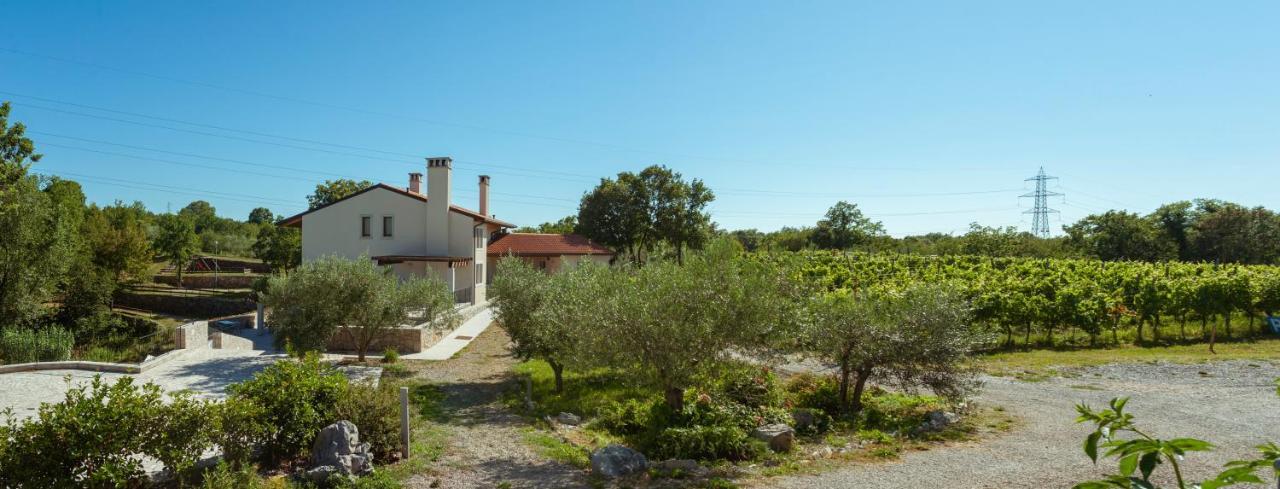 Cardo Boutique&Wine Resort Malchina Zewnętrze zdjęcie