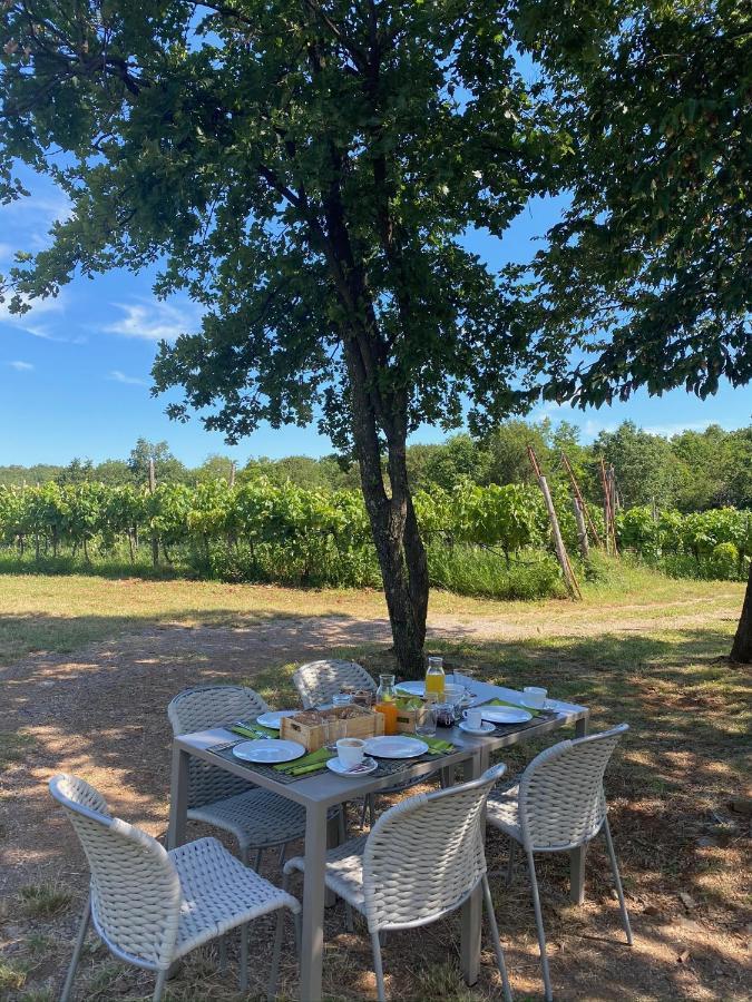 Cardo Boutique&Wine Resort Malchina Zewnętrze zdjęcie