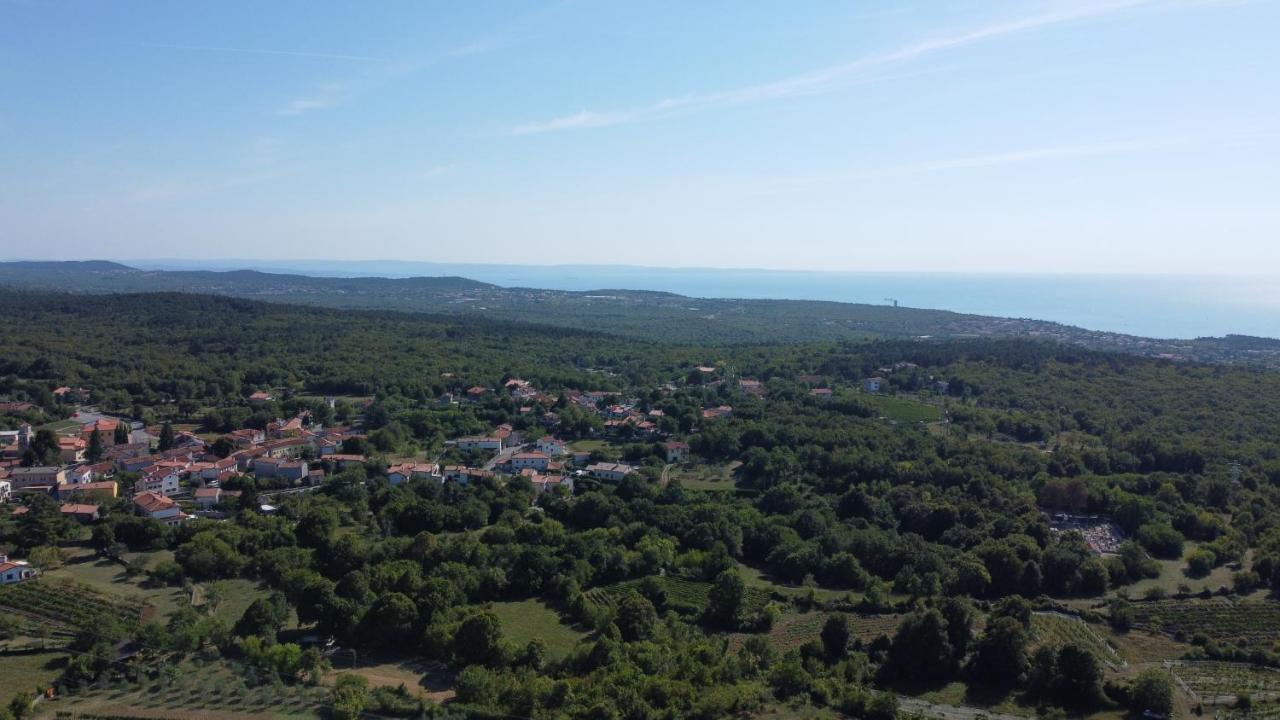 Cardo Boutique&Wine Resort Malchina Zewnętrze zdjęcie