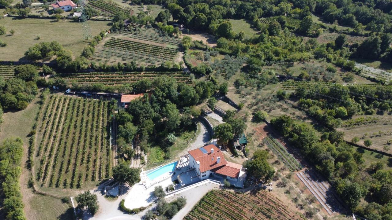 Cardo Boutique&Wine Resort Malchina Zewnętrze zdjęcie